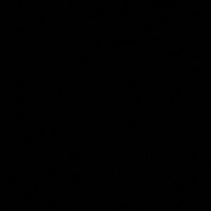 Meet your Posher, Lanasia